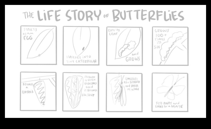 ציור סיפורים: יצירת נרטיב באמצעות איורים