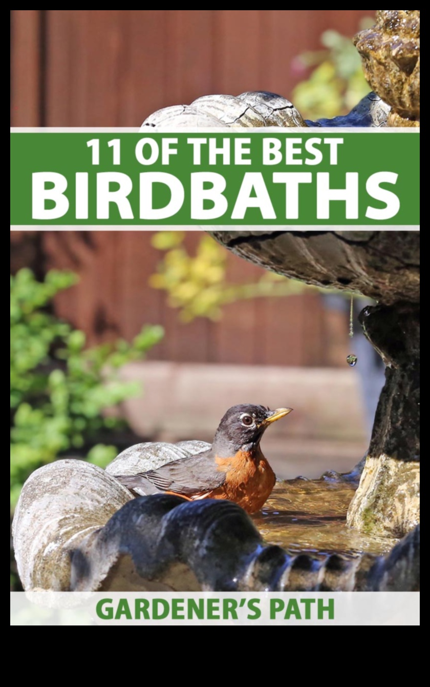 שלווה מפוסלת: ציוד גן מהשורה הראשונה