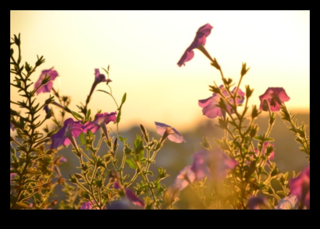 אמנות בפריחה: יצירת המופת שלך בחוץ