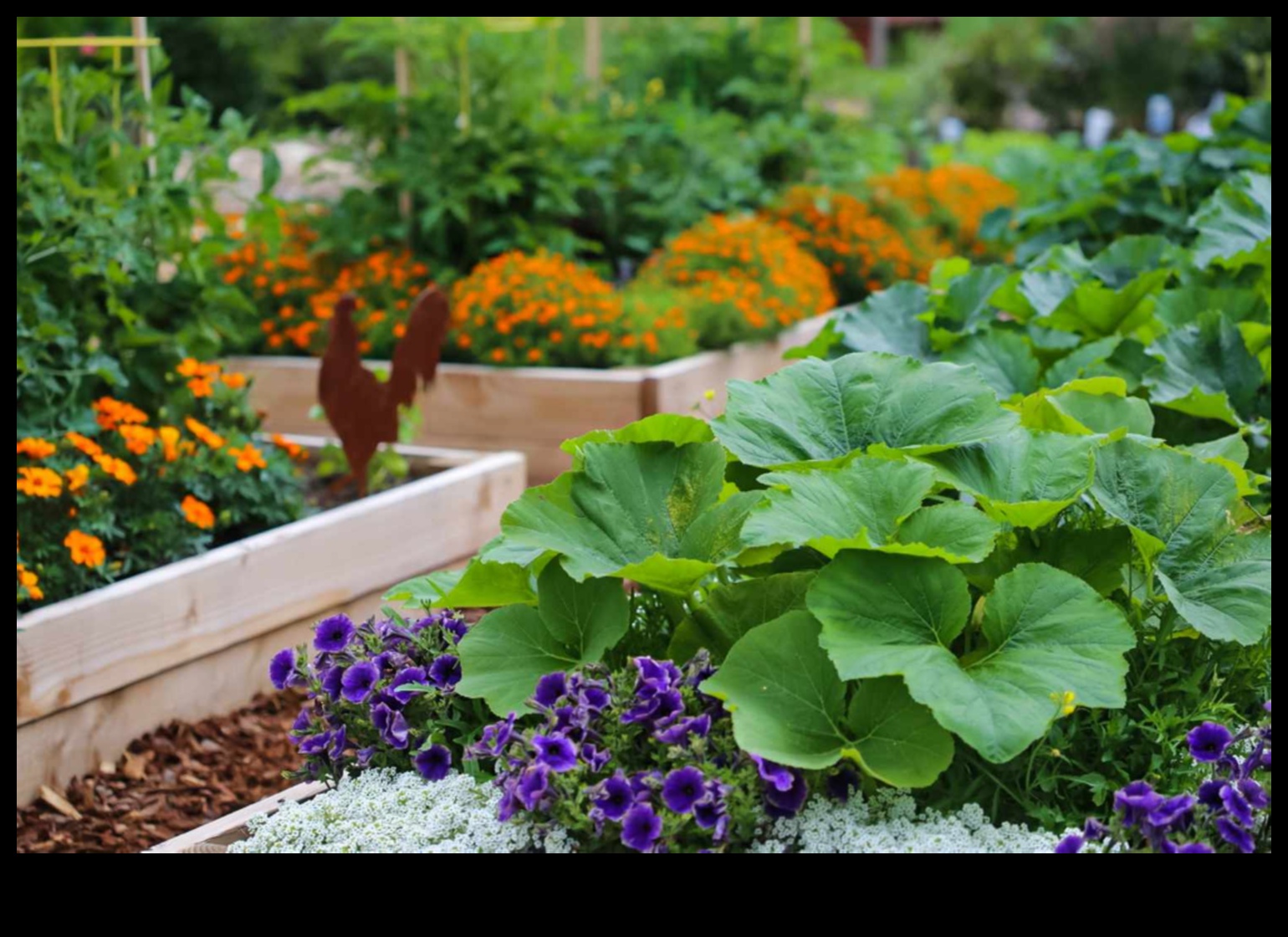 לגדול בכל מקום: רעיונות לגינון עירוני המשגשגים