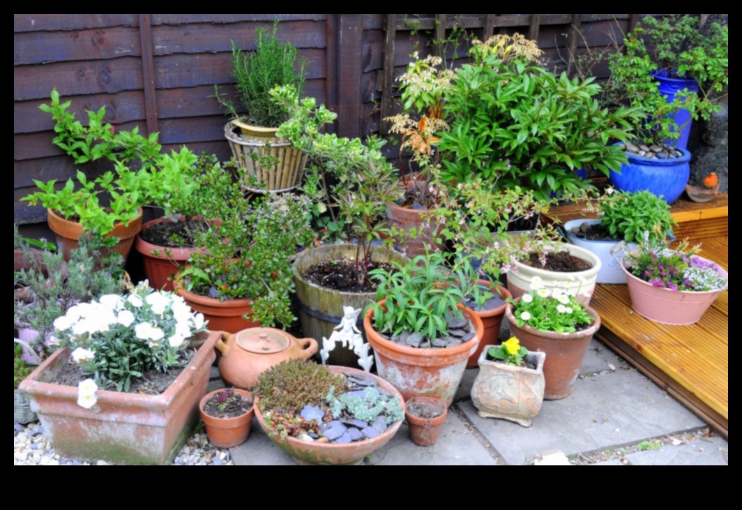 לגדול בכל מקום: רעיונות לגינון עירוני המשגשגים