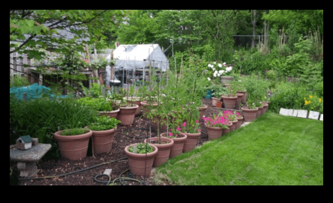 פריחת העיר: טיפים לגינון עירוני לחללים קטנים