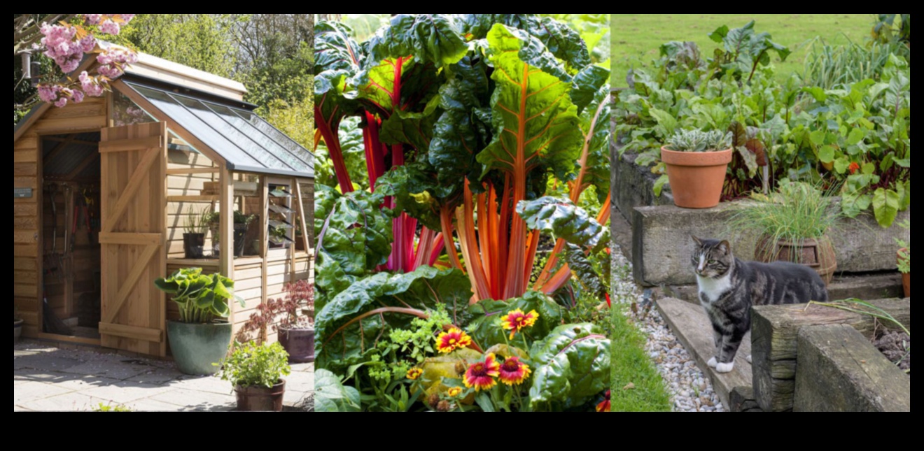 פריחת העיר: טיפים לגינון עירוני לחללים קטנים