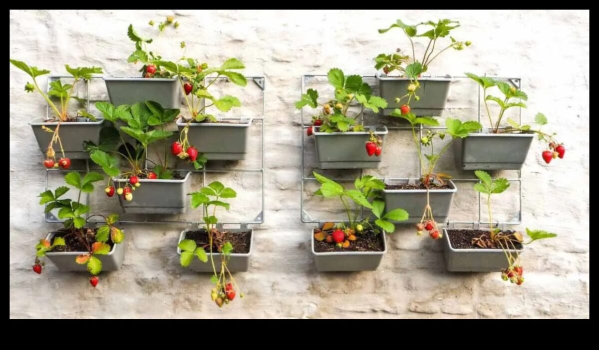 פריחת העיר: טיפים לגינון עירוני לחללים קטנים