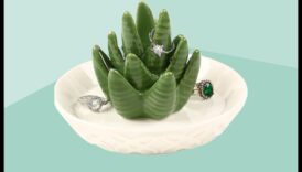 אהבה ירוקה: מתנות גינון לחובבי טבע ולנטיינס