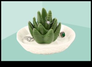 אהבה ירוקה: מתנות גינון לחובבי טבע ולנטיינס